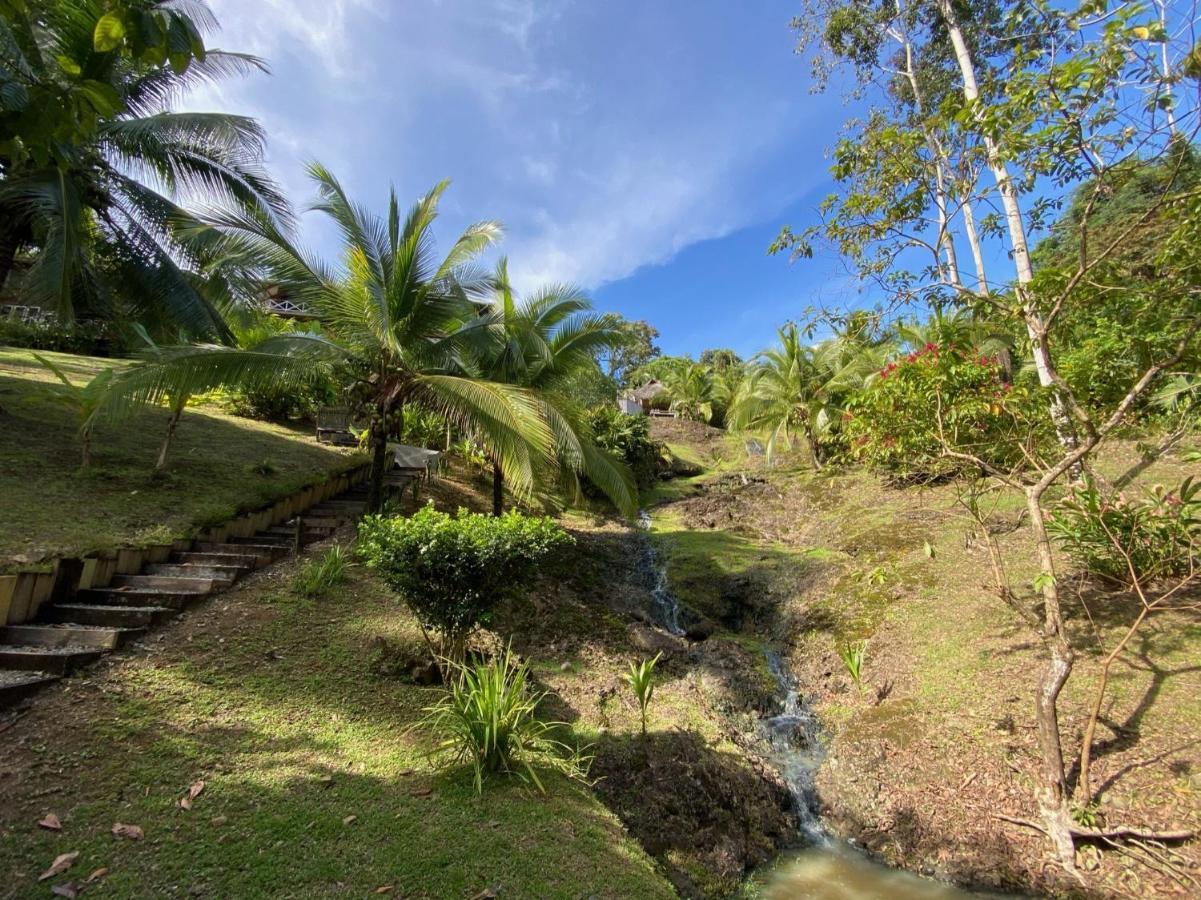 Finca Vela Lodge Bocas del Toro Buitenkant foto