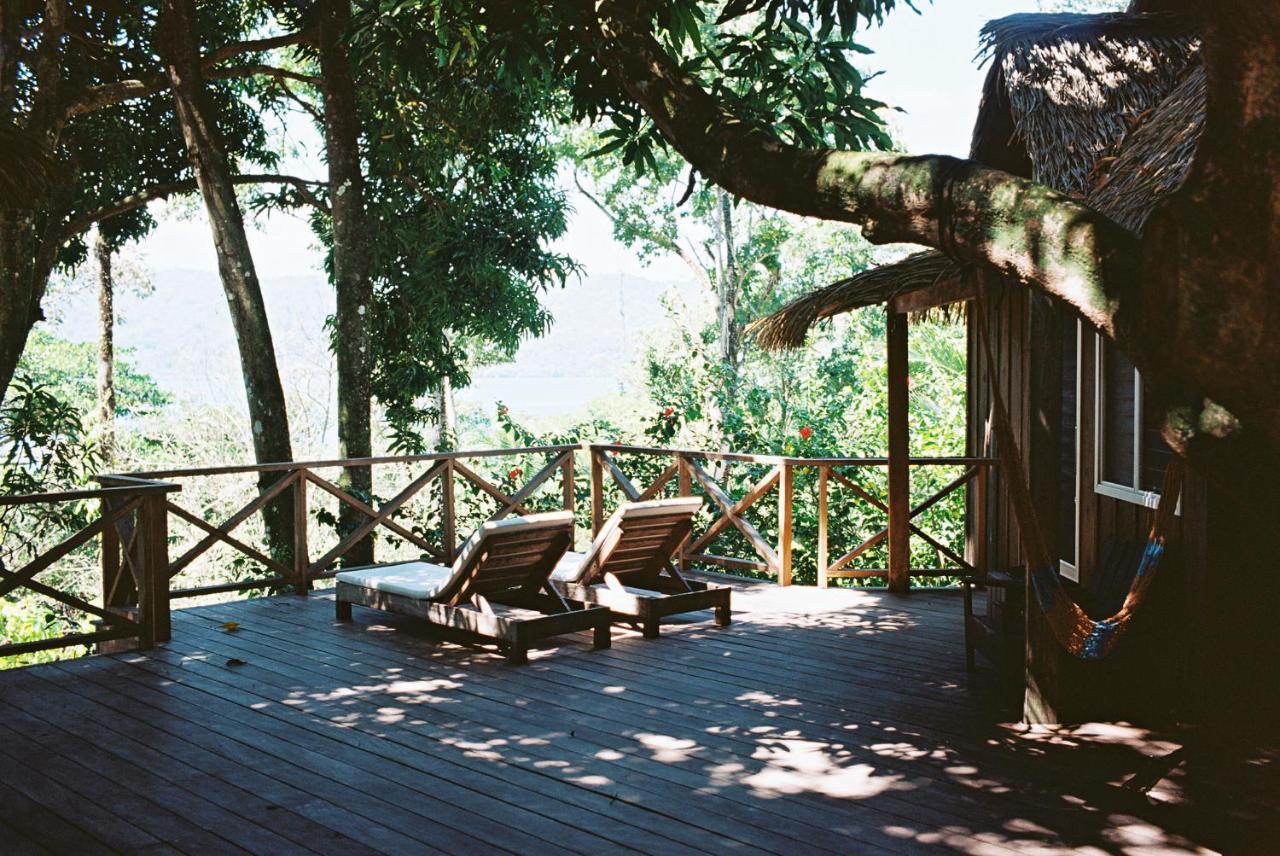 Finca Vela Lodge Bocas del Toro Buitenkant foto